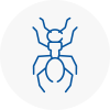 Ant Removals In Keswick