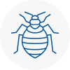 Bed Bug Extermination In Keswick