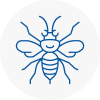 Keswick Hornet Nest Removals