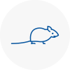 Mice Exterminators In Keswick